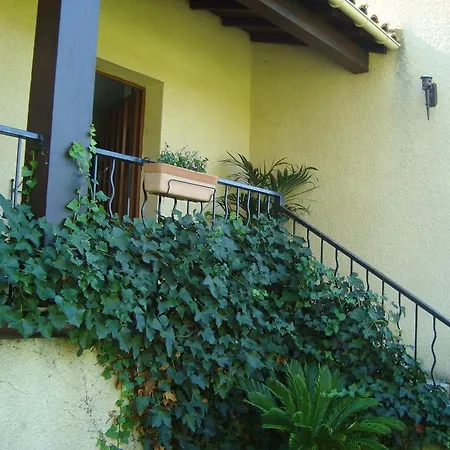 Bed & Breakfast Chambres D'hotes Les Palmiers De La Cite Carcassonne