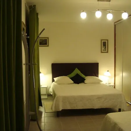 Chambres D'hotes Les Palmiers De La Cite Carcassonne