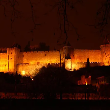 Chambres D'hotes Les Palmiers De La Cite Bed & Breakfast *