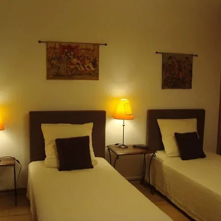 Chambres D'hotes Les Palmiers De La Cite Bed & Breakfast Carcassonne