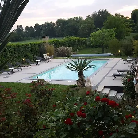 Chambres D'hotes Les Palmiers De La Cite Bed & Breakfast Carcassonne