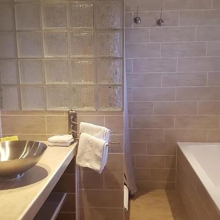Chambres D'hotes Les Palmiers De La Cite Bed & Breakfast Carcassonne