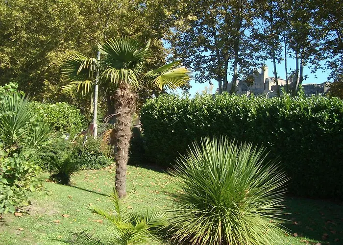 D'hotes Les Palmiers De La Cite 4*